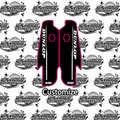 RFLOXA Fork Guard Decals